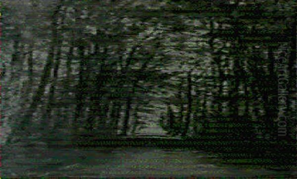 Allee - view 1