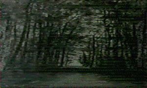 Allee