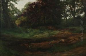 Woodland Landscape With Ducks And Pool