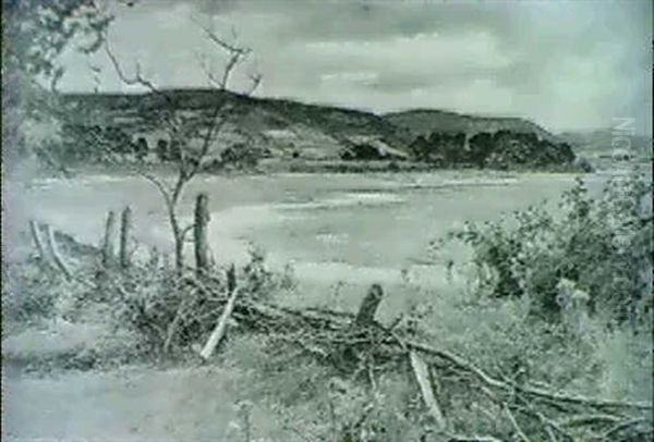 By The Loch - view 1