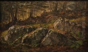 Rocks Rocks