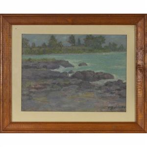Shore Scene by Edward Timothy Hurley