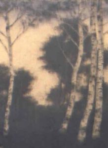 Trees With A Stream Flowing From A Distant Mountain by Edward Timothy Hurley