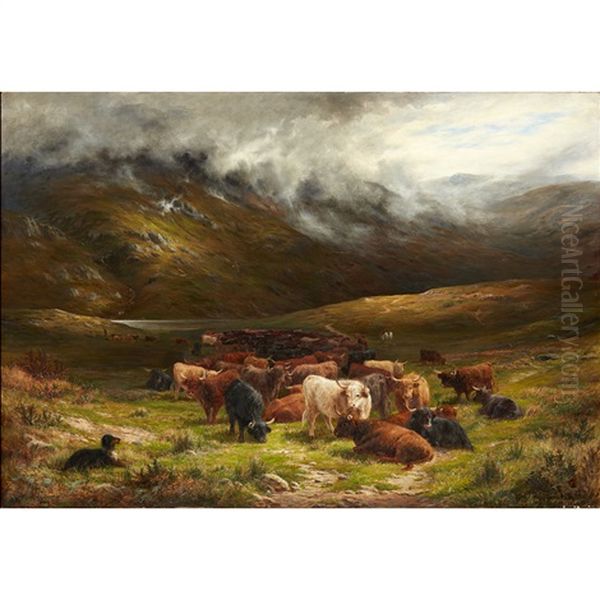 Highland Cattle In A Mountain Glen - view 1