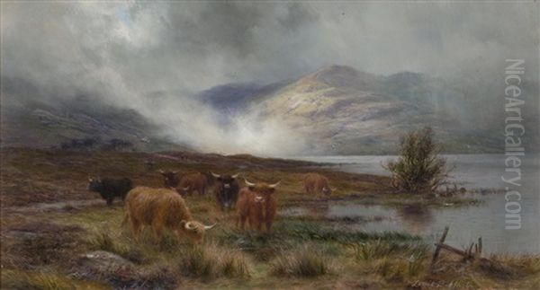 Highland Cattle Watering In Mist - view 1