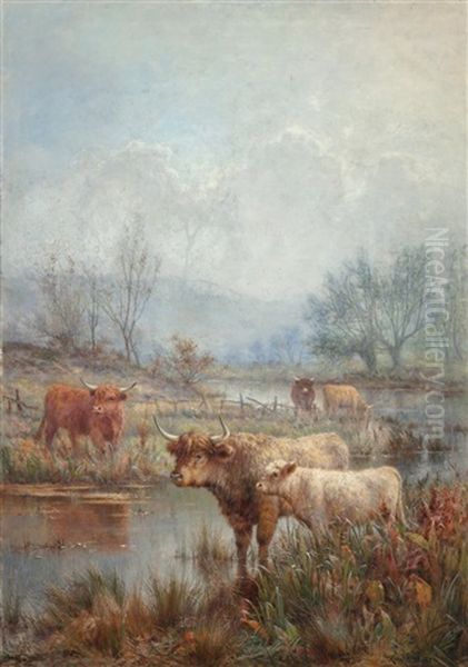 A Misty Morning, Scotch Cattle - view 1