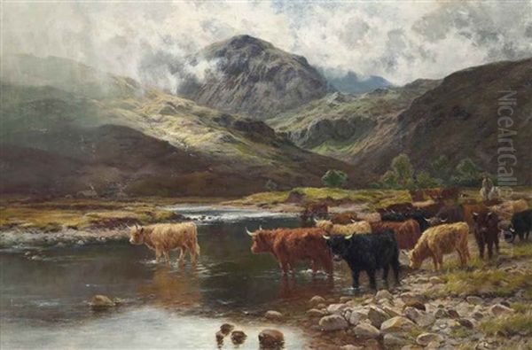 Cattle Crossing The River Garie, Kinlochewe, Scotland - view 1
