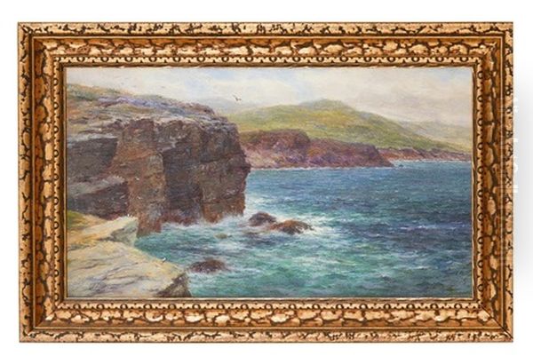 Cliffs Of Noss, Shetland - view 1