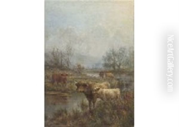 A Misty Morning, Scotch Cattle - view 1
