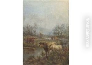 A Misty Morning, Scotch Cattle