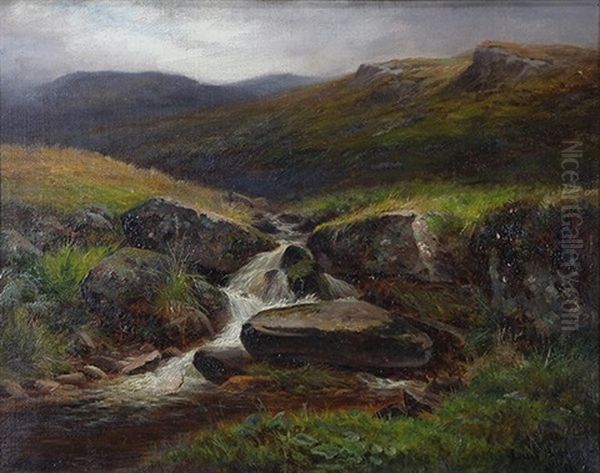 Padley Brook, North Derbyshire - view 1