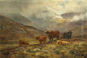 Dwellers Of The Glen