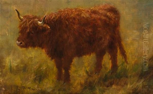 Bull - view 1