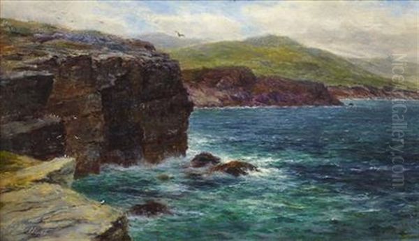 Cliffs Of Noss, Shetland - view 1