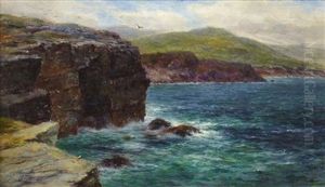 Cliffs Of Noss, Shetland by Louis Bosworth Hurt