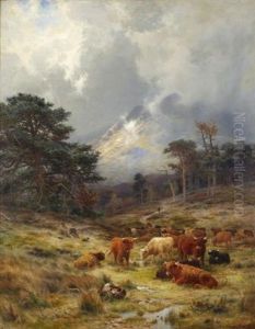 Braes At Orchy, Argylshire