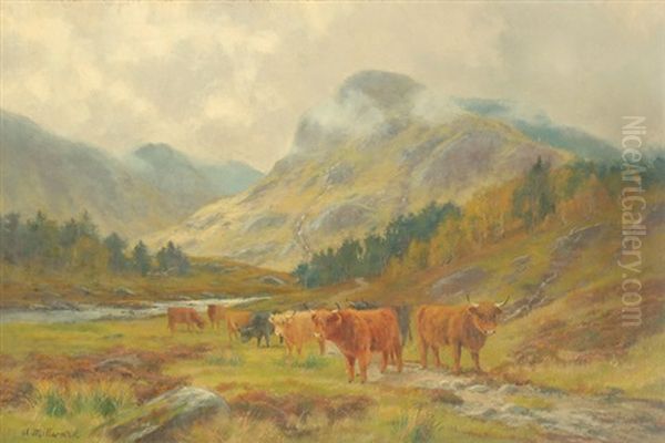 Highland Cattle Grazing In A Mountain Landscape With Low Clouds - view 1