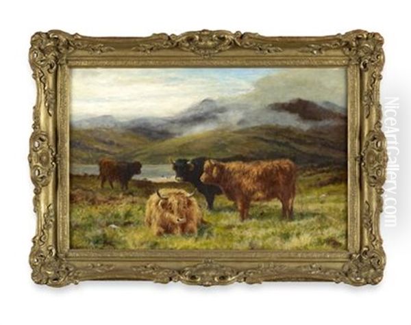 Highland Yearlings - view 1