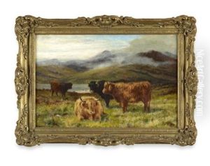 Highland Yearlings Highland Yearlings