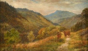 Towards The Lledr Valley From Near Conwy Falls