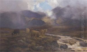 Highland Cattle By A Mountain Stream