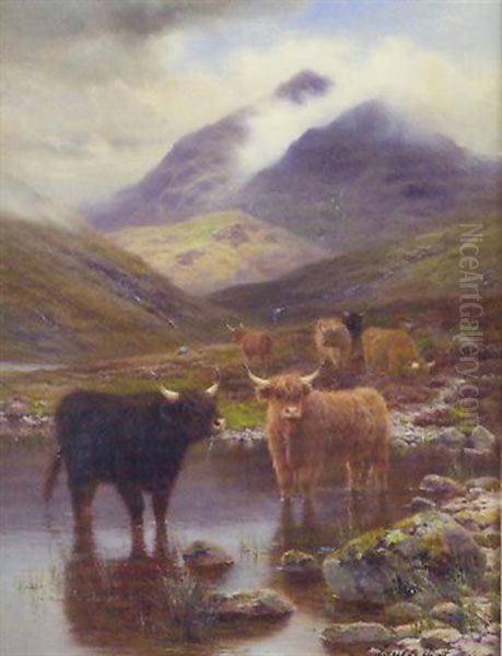 Highland Cattle In Lake And Mountain Landscape - view 1