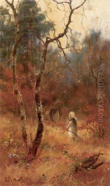 Autumn In The Woods - view 1
