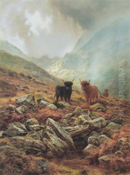 Highland Mists - view 1