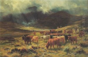 Near Loch Etive