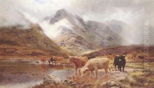 Rannoch Moor, On The Way South At Black Mount