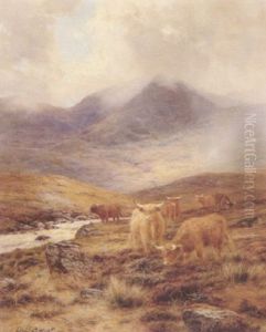 Marshland Pastures, Isle Of Skye