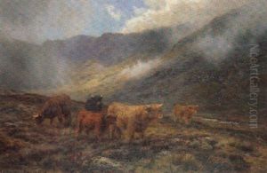A Glen In Skye