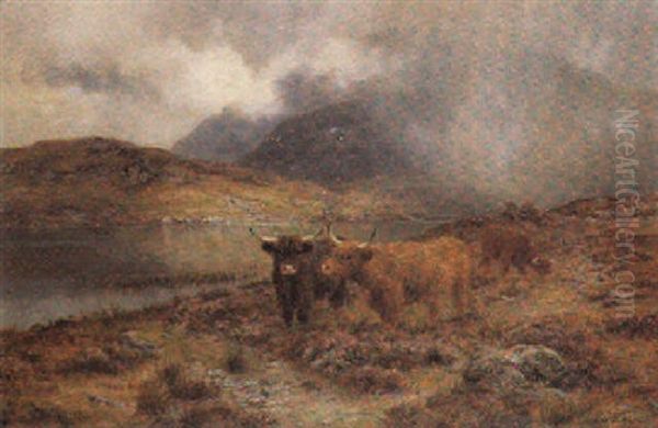 Showers Breaking In The Highlands - view 1
