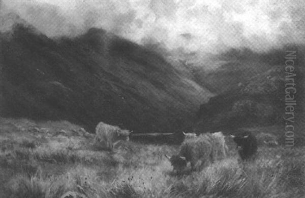 At Invershiel, Ross Shire - view 1