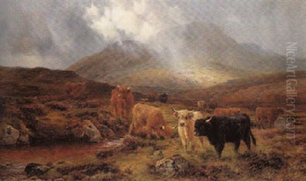 Moorland Pasture, Tulloch, N.b. - view 1