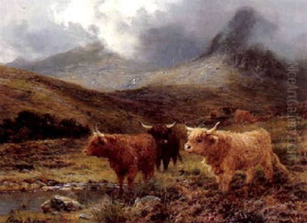 In Glen Sannox, Arran - view 1