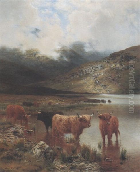Morning By A Highland Loch - view 1