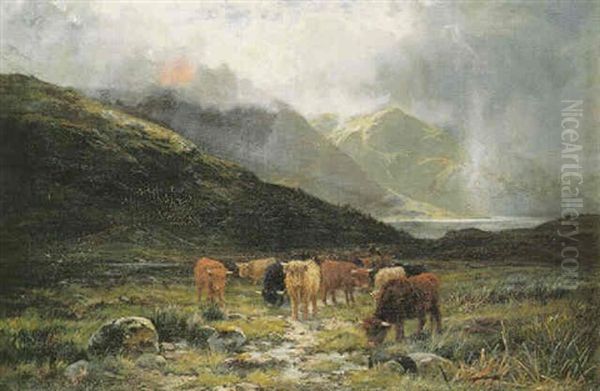 In Glen Cannich, Invernesshire - view 1