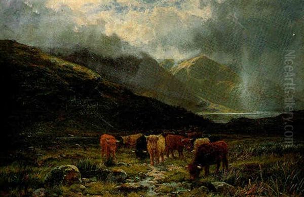 In Glen Cannich, Invernesshire - view 1