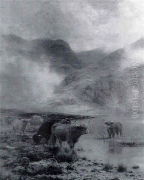 View In South Highlands - view 1