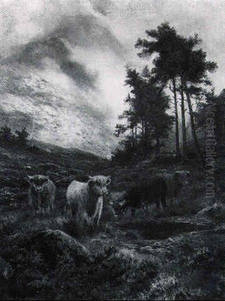 Cattle Grazing In The Highlands - view 1
