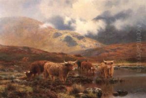Highland Cattle By A Lochan In A Mist Covered Mountainous Landscape