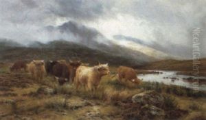 Highland Cattle On The Banks Of A River Highland Cattle On The Banks Of A River