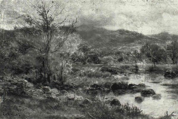 The Llugwy Valley, Near Cyfury Falls - view 1