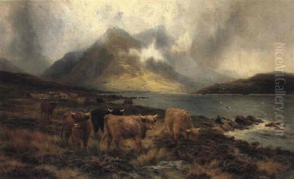 Hills Of Mist Skye - view 1