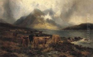 Hills Of Mist Skye