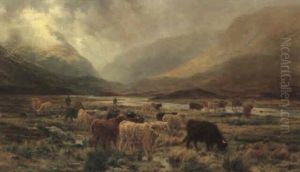 In The Highlands Near Kingshouse, Rannock Moor