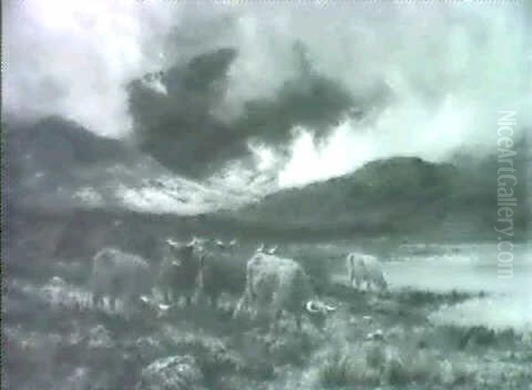Mist Rising From Perthshire Hills - view 1