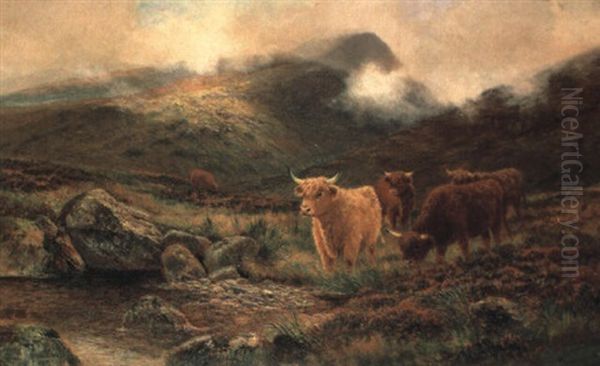 Highland Cattle By A Burn In A Mist-covered Glen - view 1