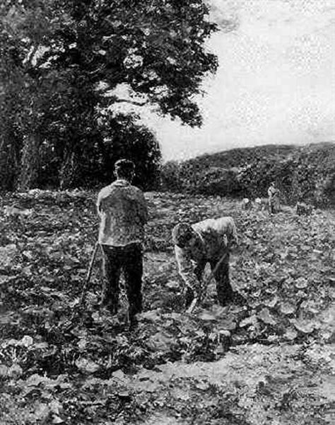 In The Fields - view 1